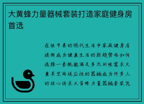 大黄蜂力量器械套装打造家庭健身房首选